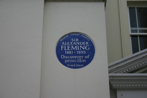 Fleming´s house in London